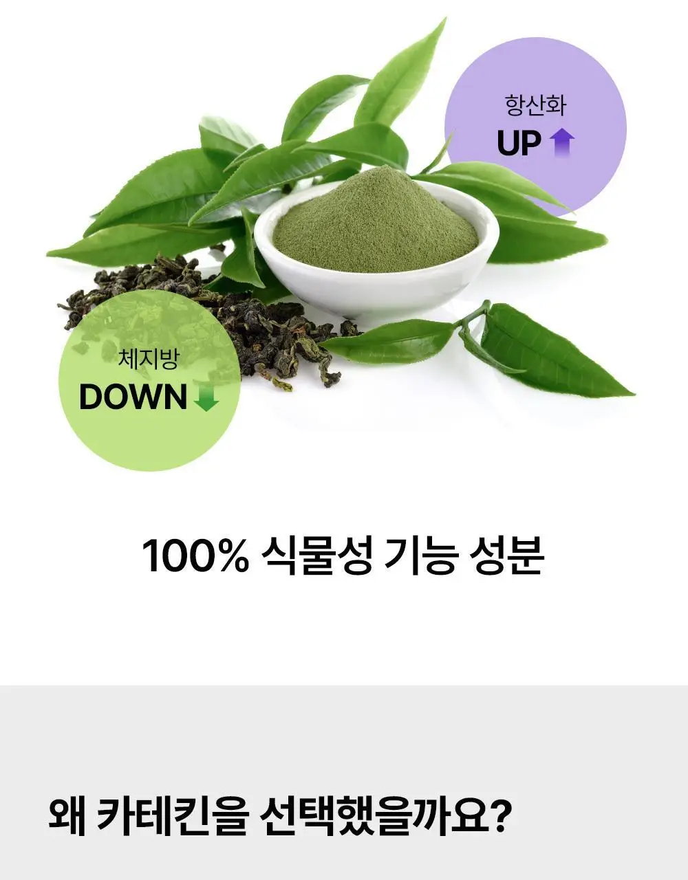 [다이어트] 풀무원건강식물원 카테킨 다이어트 30정 (30일분) 상세페이지 9